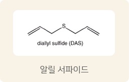 알릴 설파이드