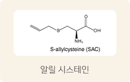 알릴 시스테인
