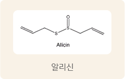 알리신