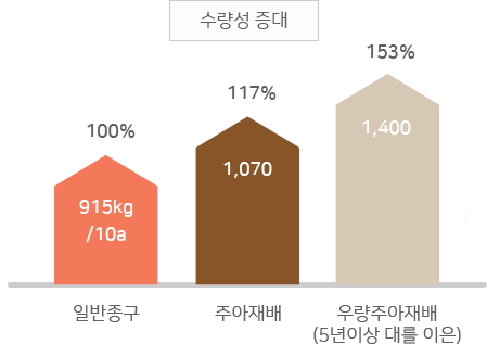 수량성 증대