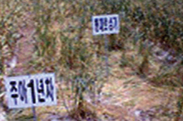 주아포장