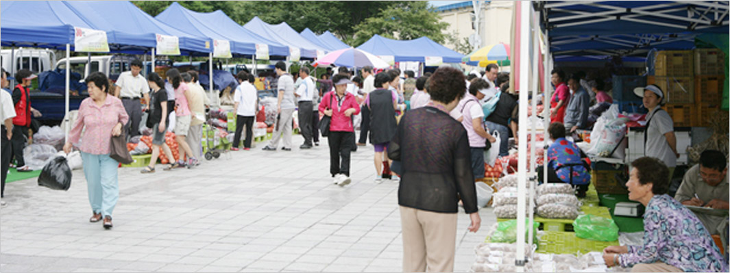 명품의성마늘 대구 홍보 판매행사