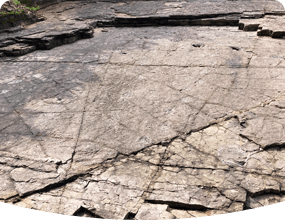 만천리 아기공룡발자국