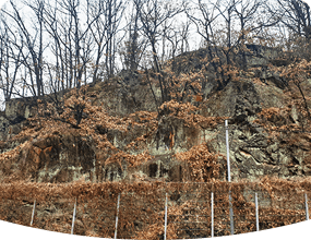 의성구산동응회암