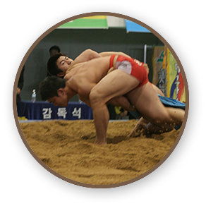 씨름