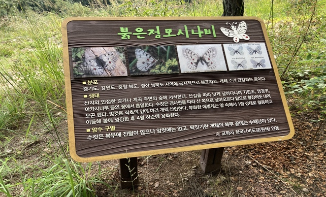 샘플 이미지