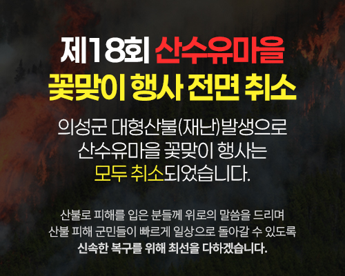 제18회 산수유마을 꽃맞이 행사 전면 취소 - 의성군 대형산불(재난)발생으로 산수유마을 꽃맞이 행사는 모두 취소되었습니다. 산불로 피해를 입은 분들께 위로의 말씀을 드리며 산불 피해 군민들이 빠르게 일상으로 돌아갈 수 있도록 신속한 복구를 위해 최선을 다하겠습니다.