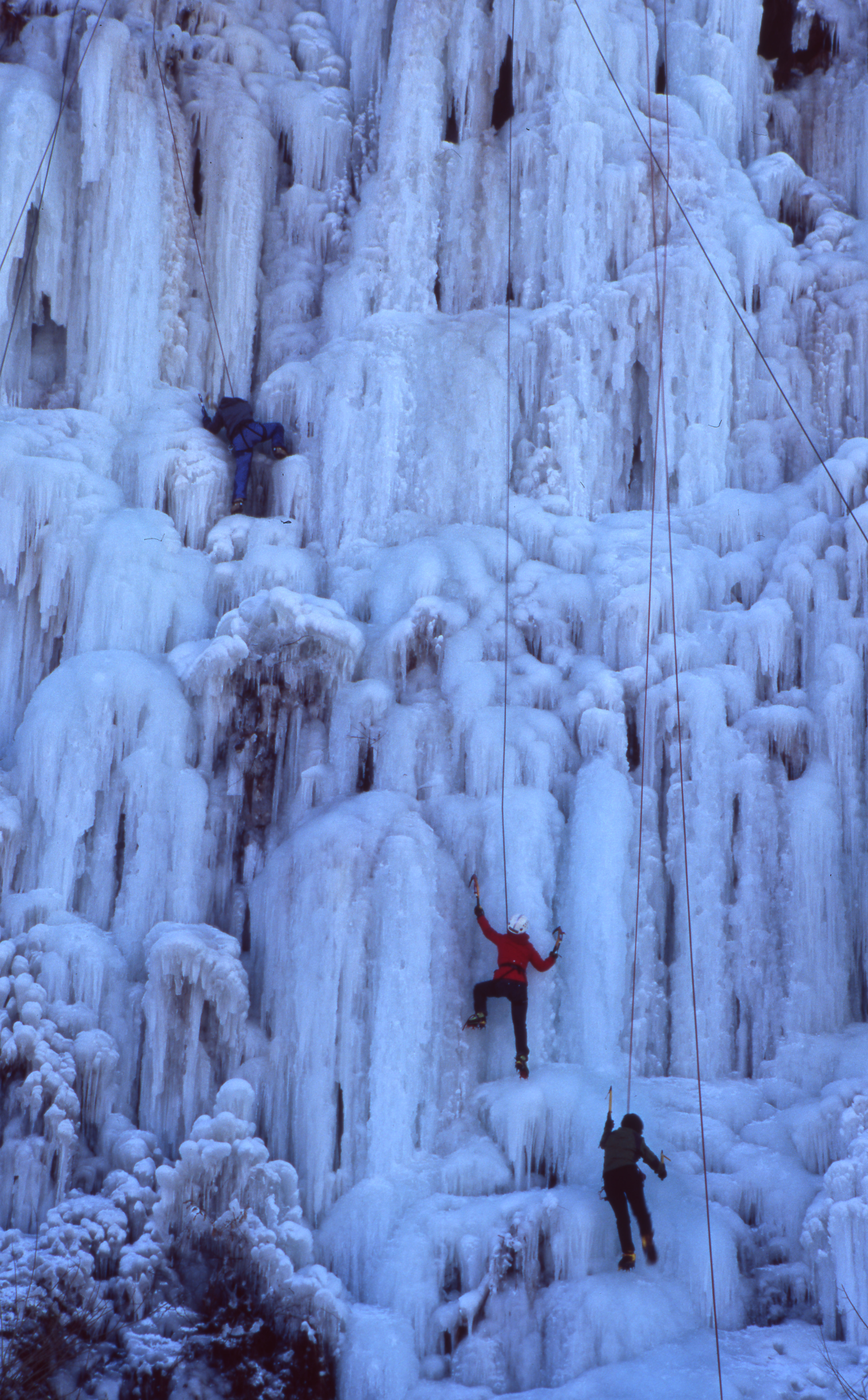 다운로드 불가 이미지