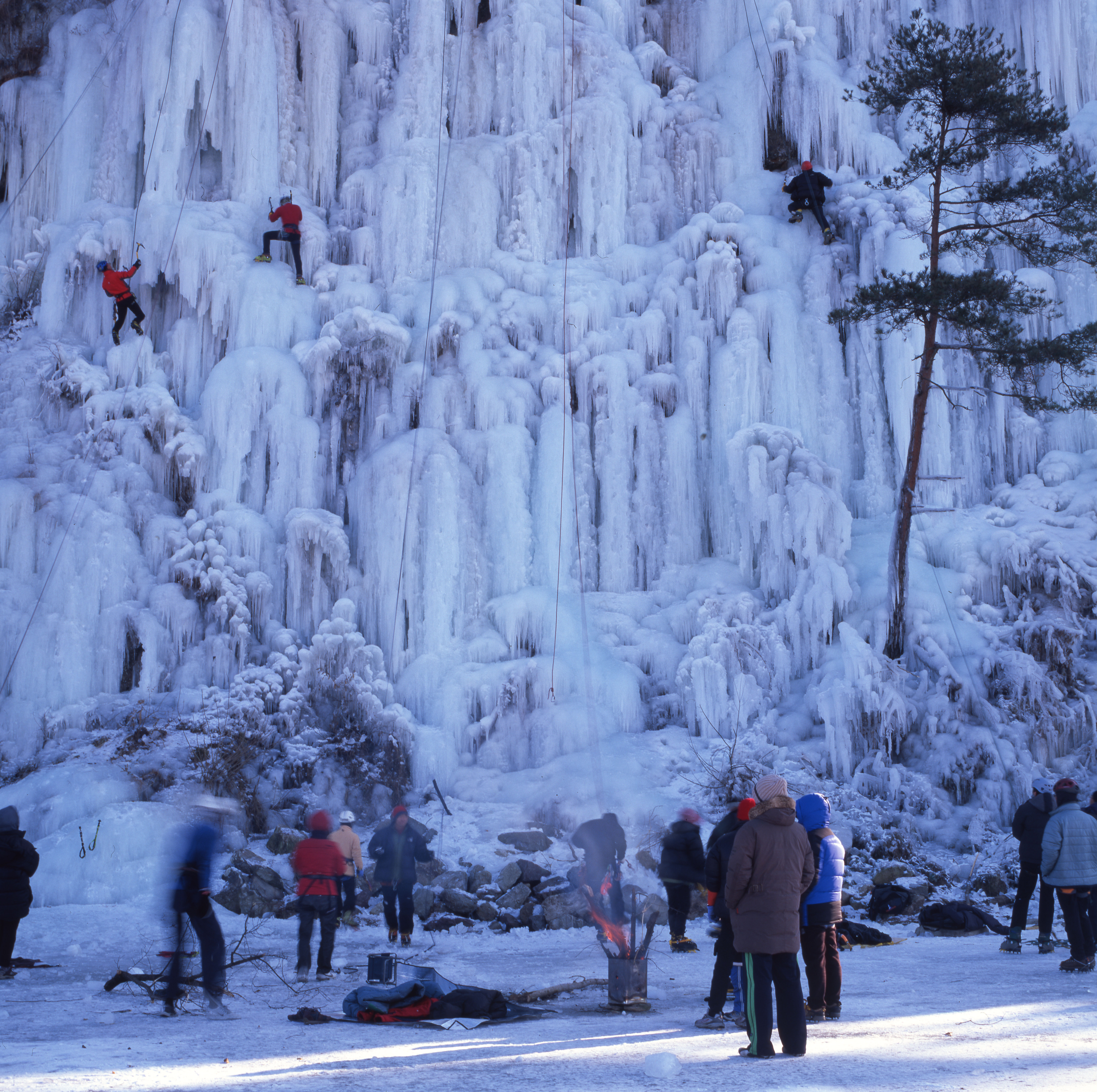 다운로드 불가 이미지