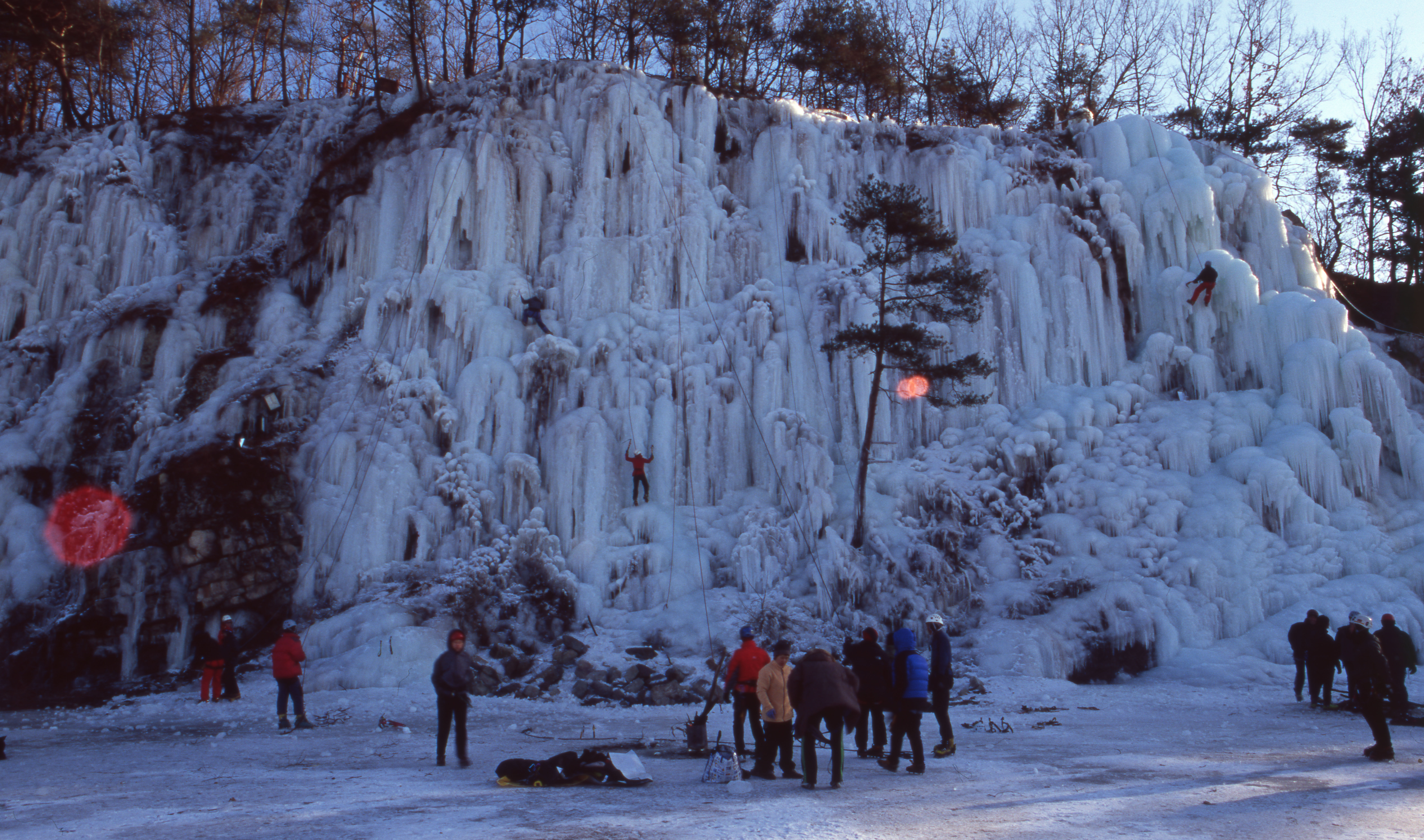 다운로드 불가 이미지