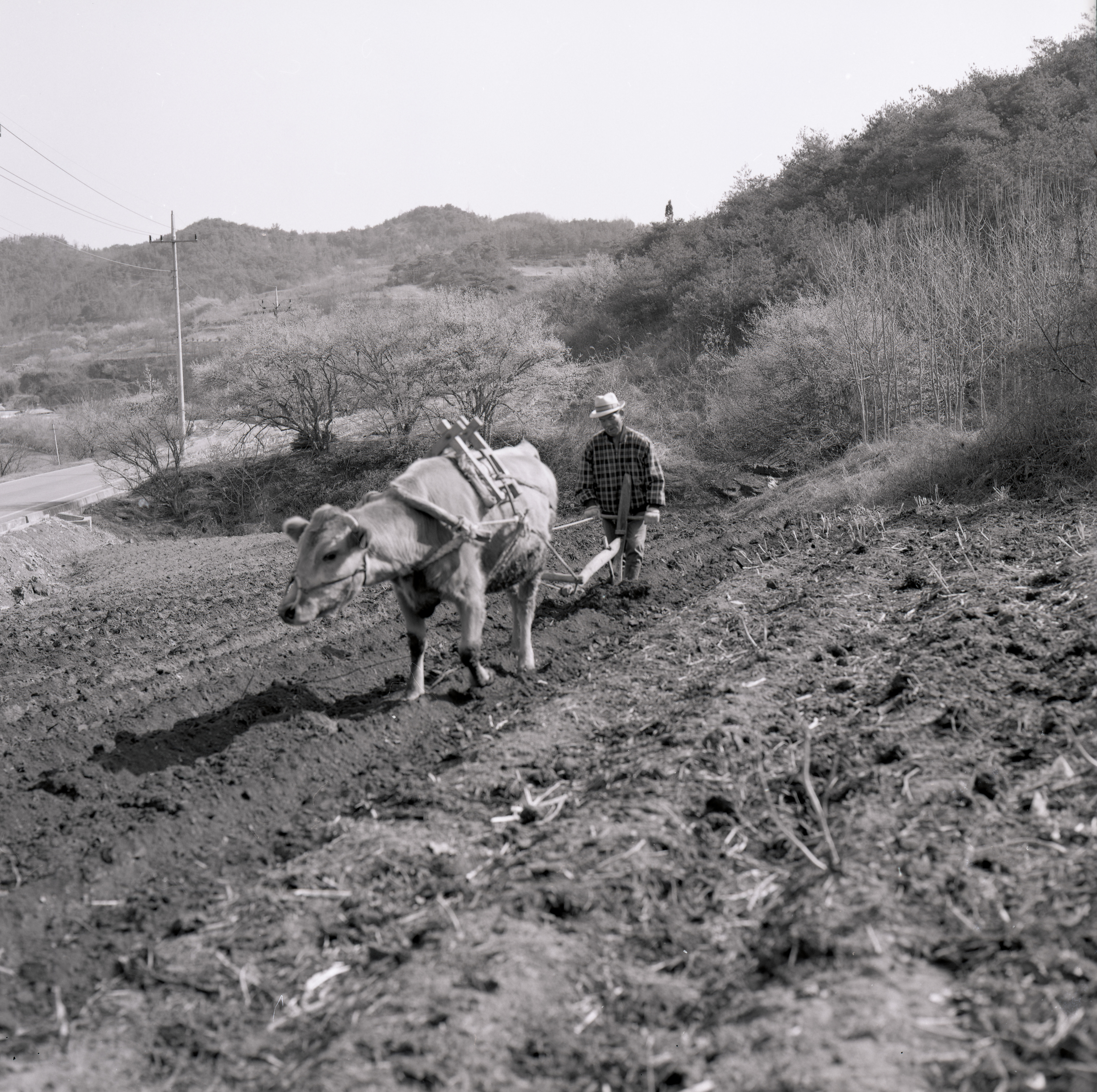 다운로드 불가 이미지