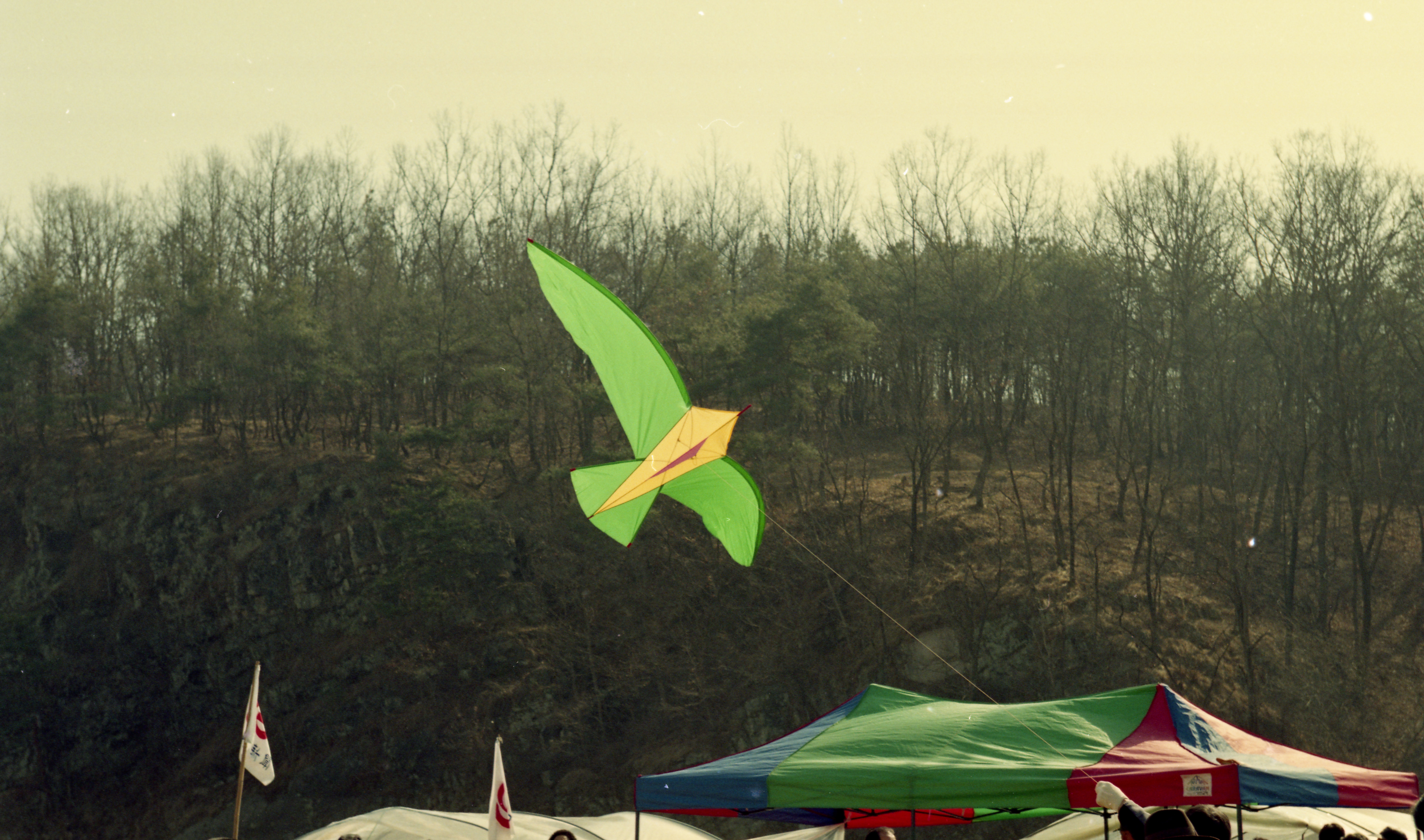 다운로드 불가 이미지