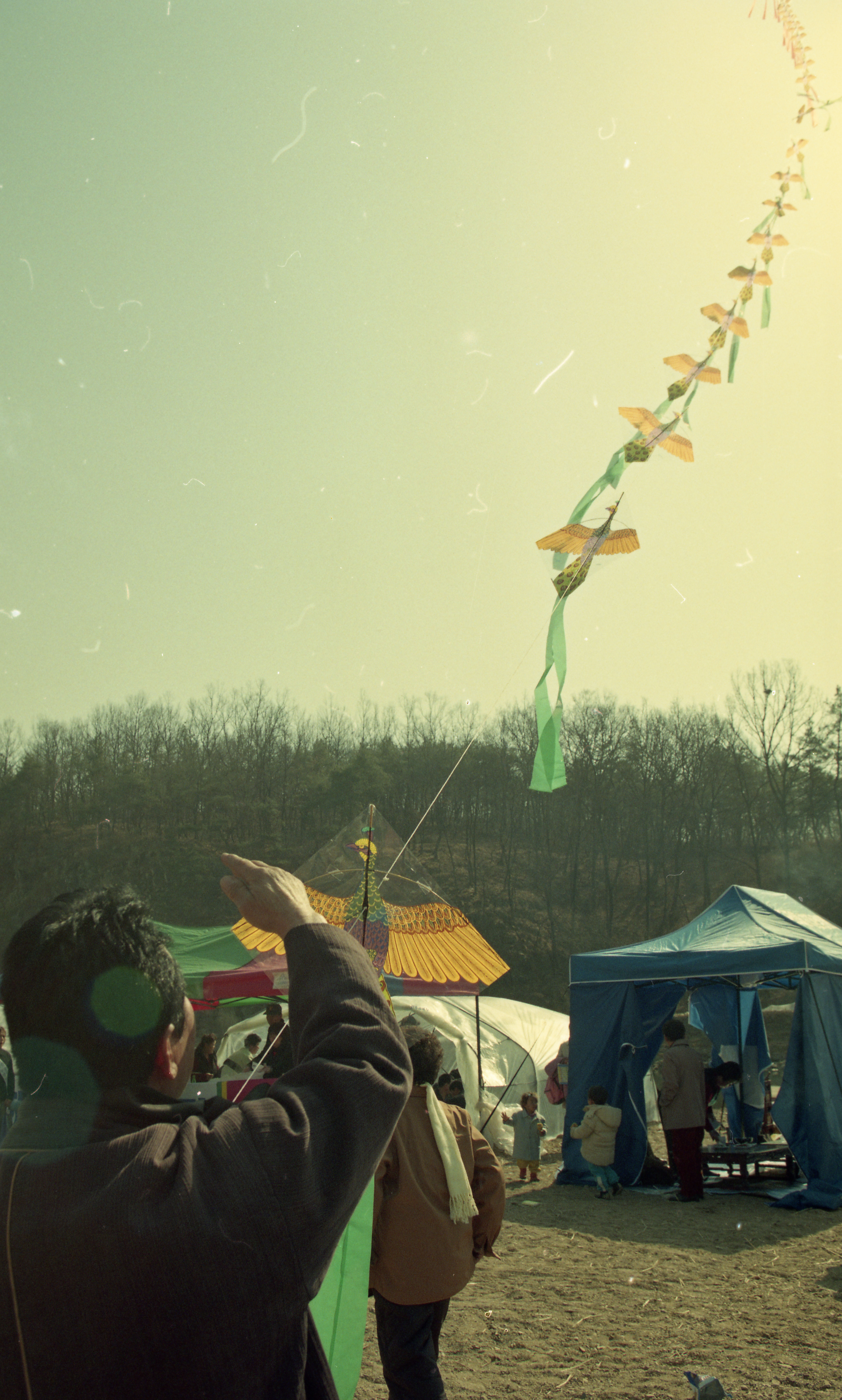 다운로드 불가 이미지