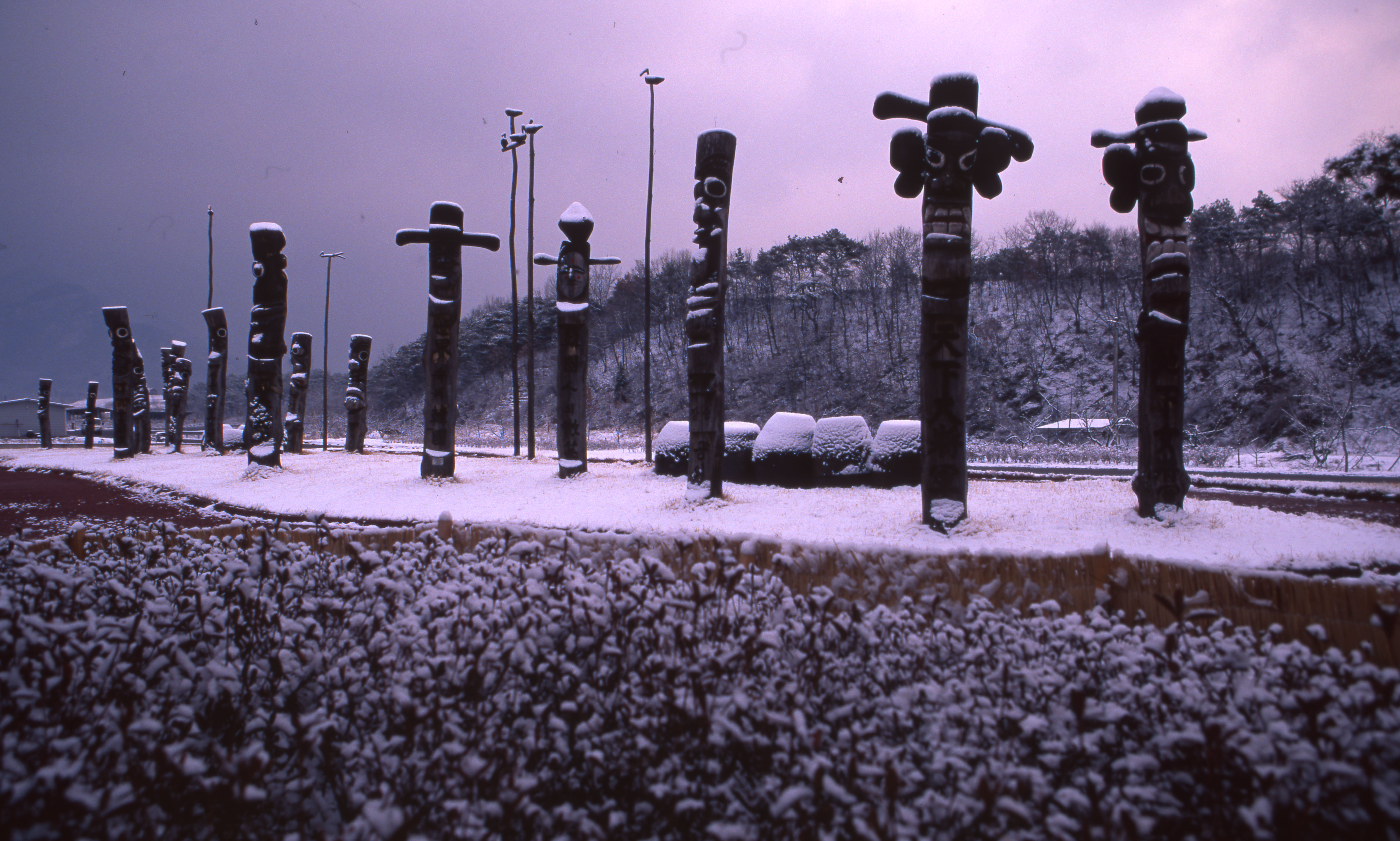 다운로드 불가 이미지