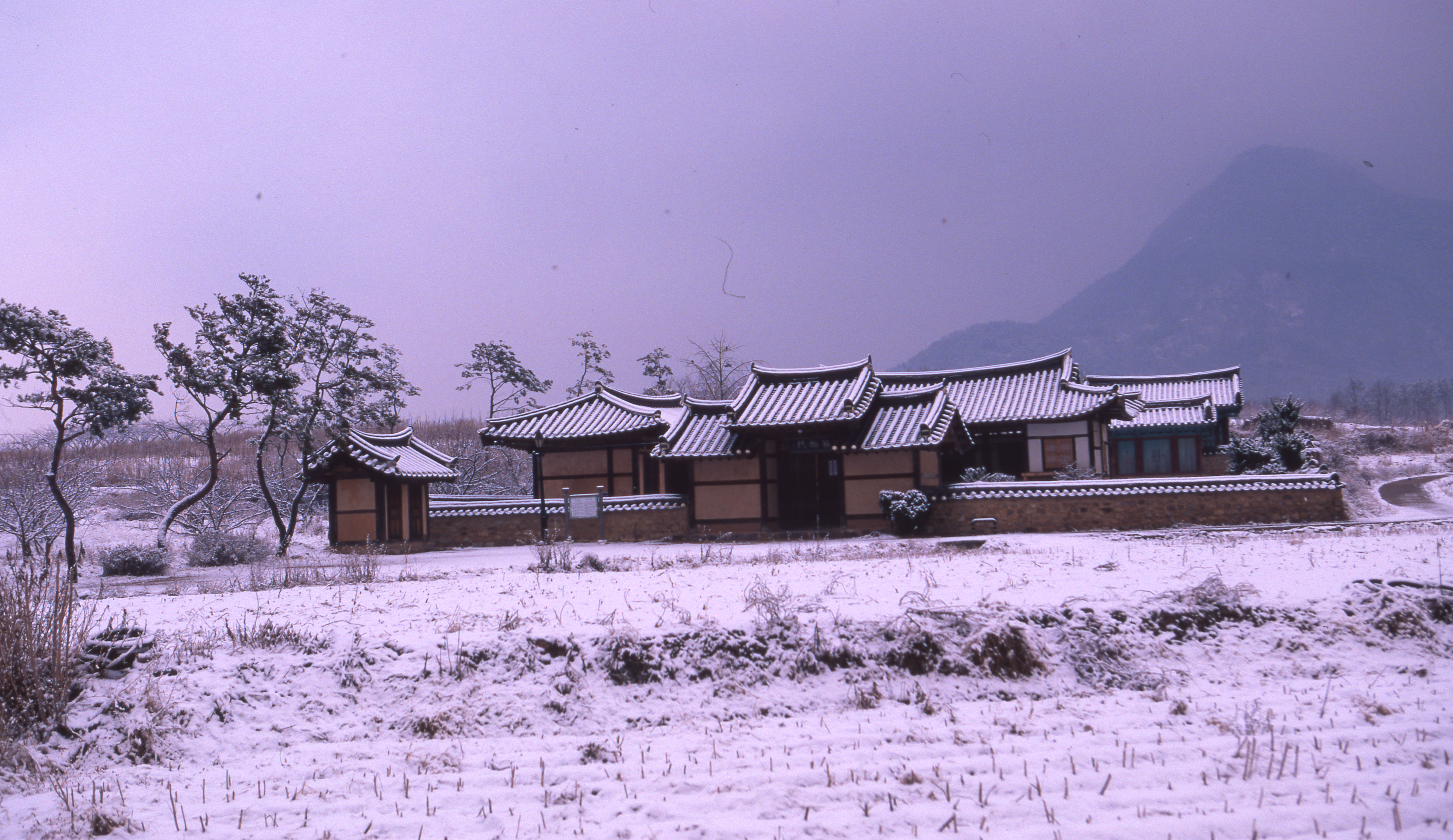 다운로드 불가 이미지