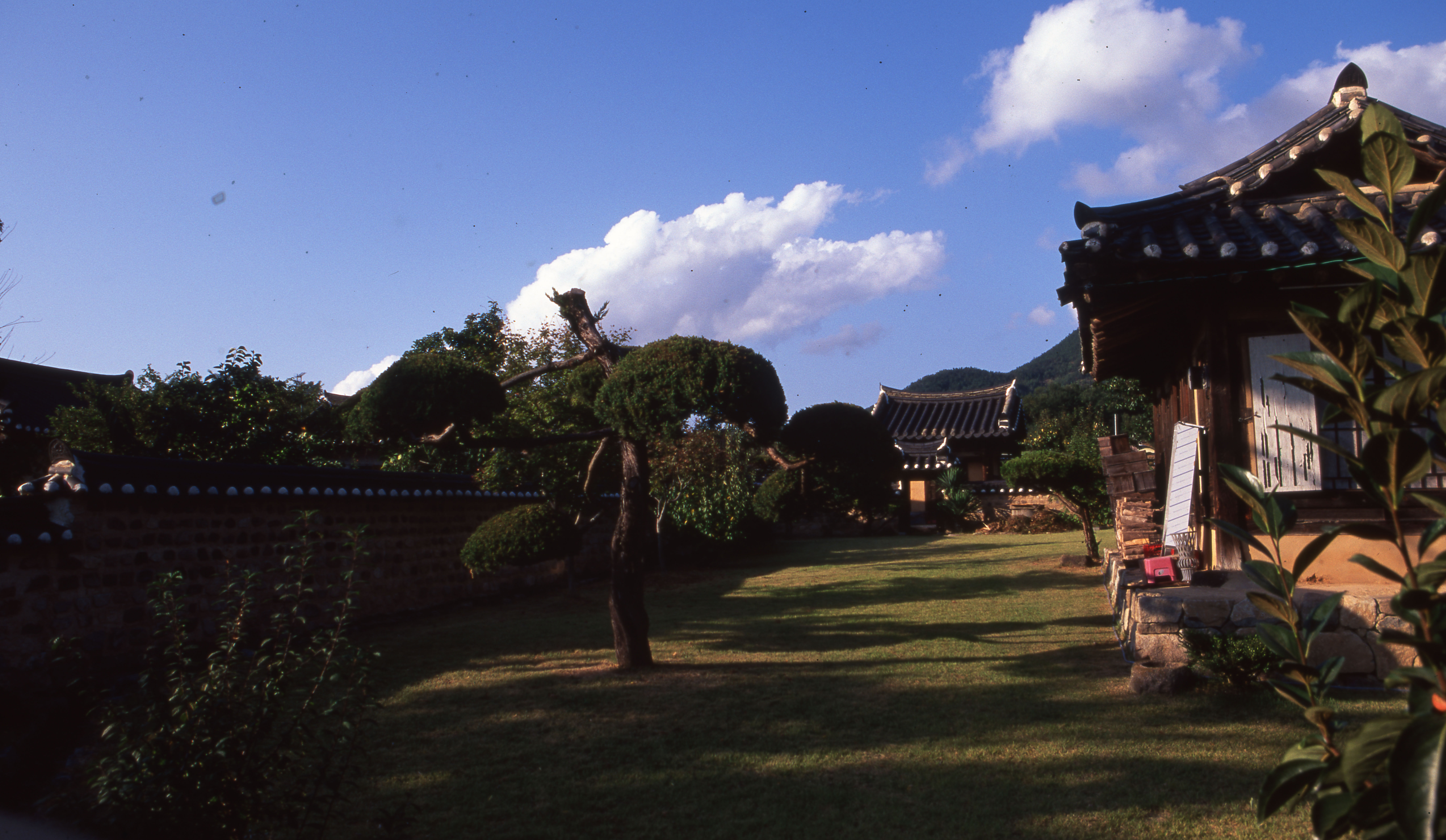 다운로드 불가 이미지