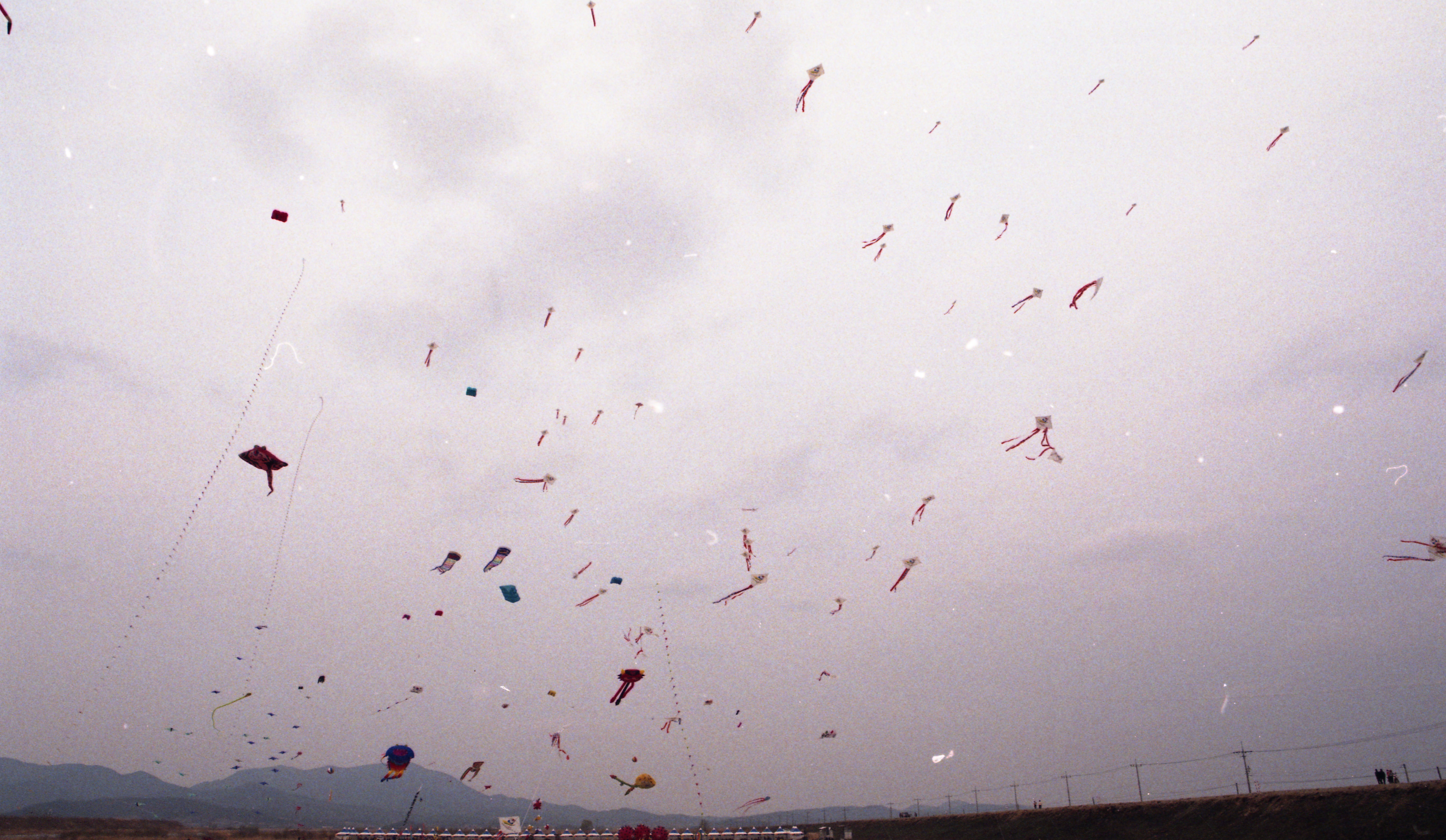 다운로드 불가 이미지