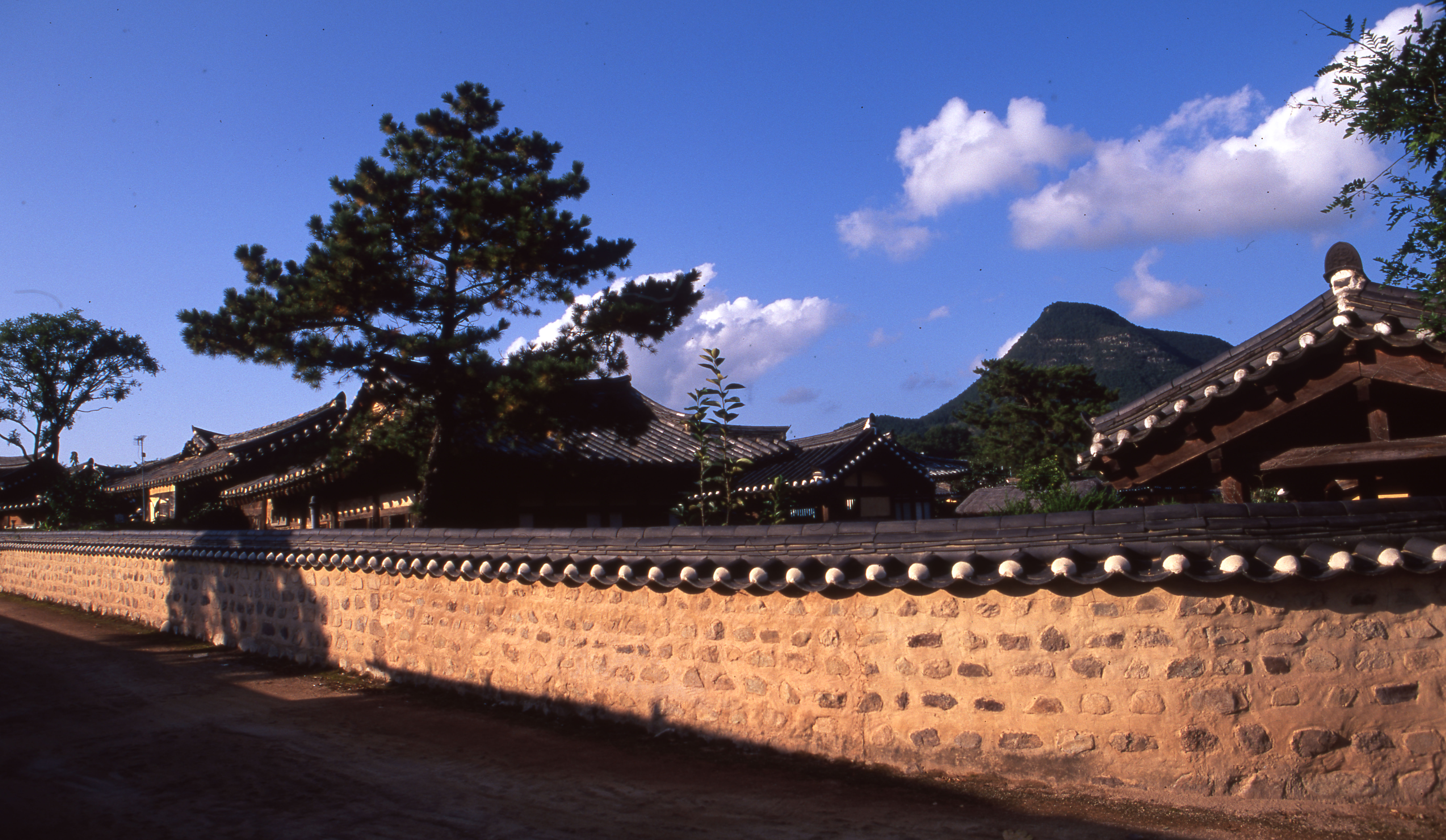 다운로드 불가 이미지