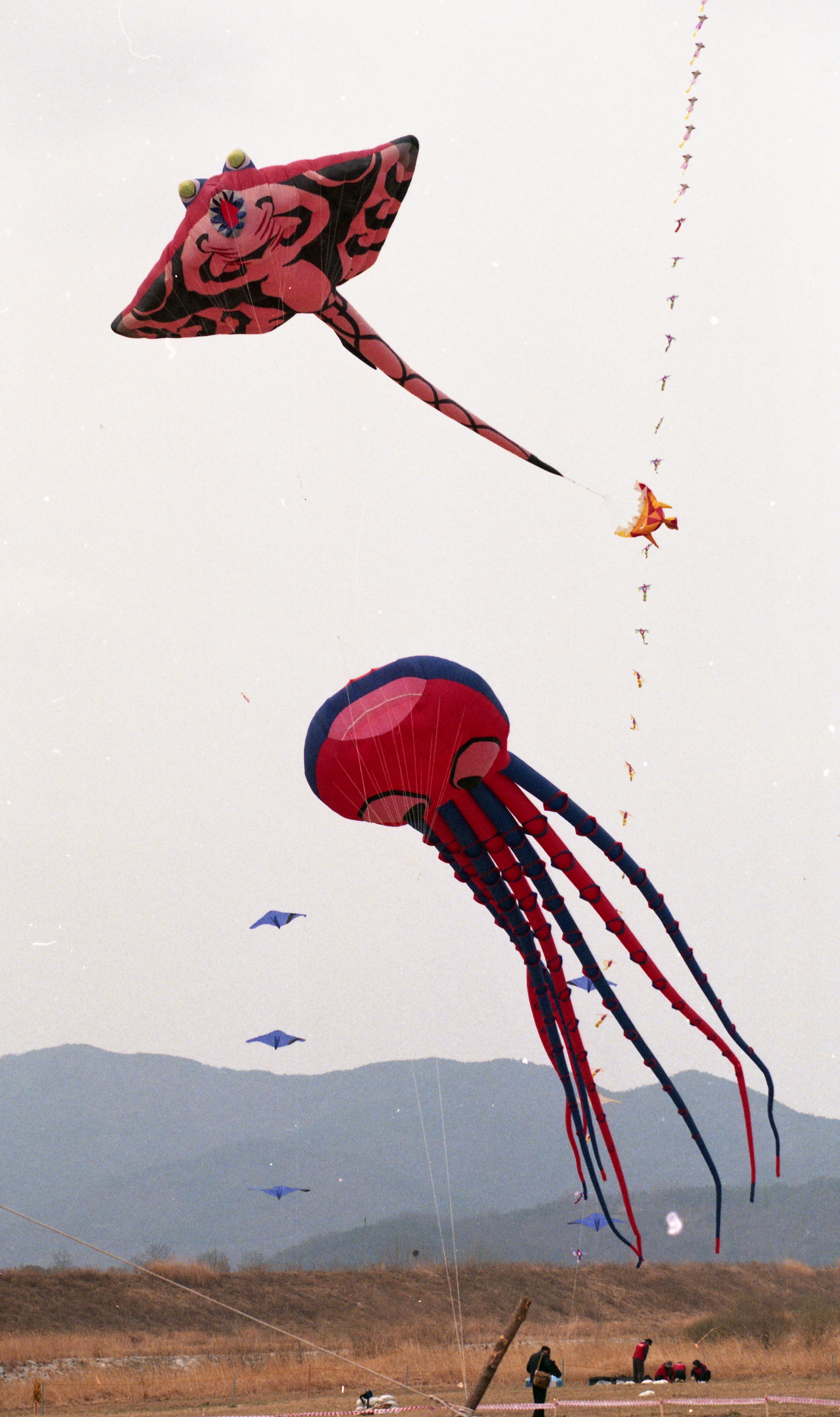 다운로드 불가 이미지