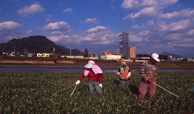 다운로드 불가 이미지