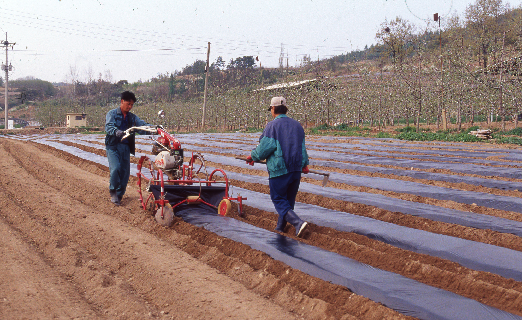 다운로드 불가 이미지