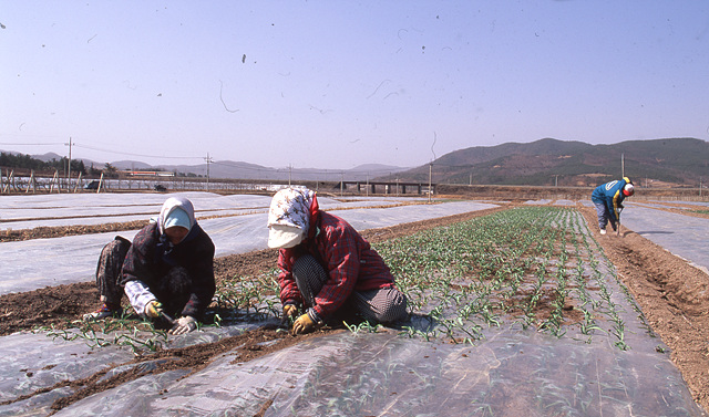 다운로드 불가 이미지