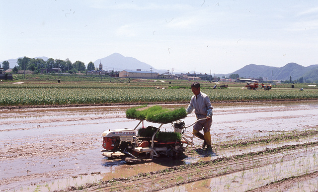 다운로드 불가 이미지