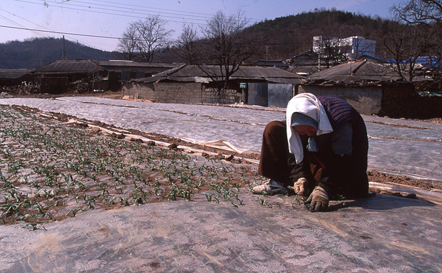 다운로드 불가 이미지