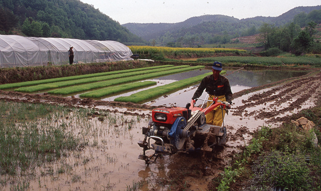 다운로드 불가 이미지