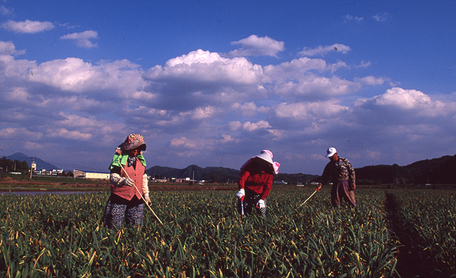 다운로드 불가 이미지