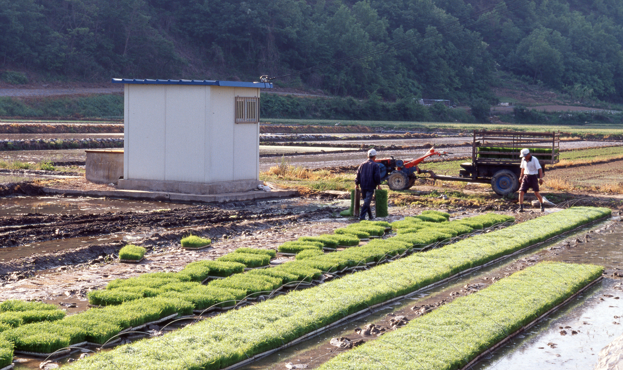다운로드 불가 이미지
