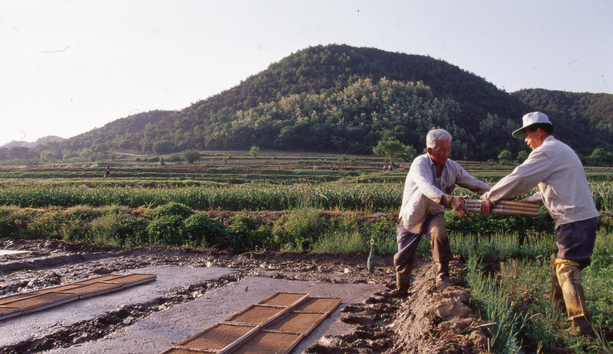 다운로드 불가 이미지