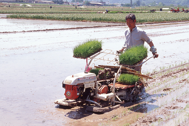 다운로드 불가 이미지