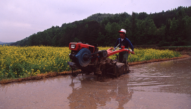 다운로드 불가 이미지