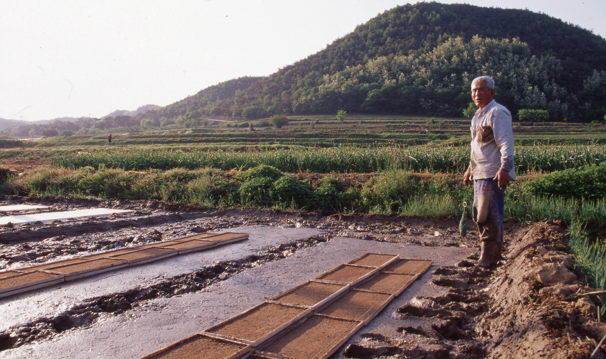 다운로드 불가 이미지