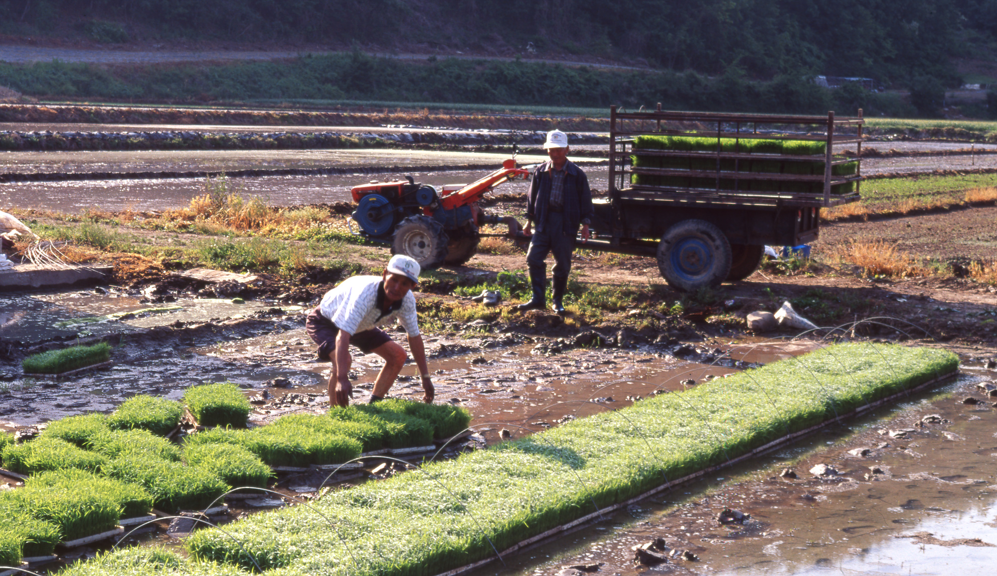 다운로드 불가 이미지