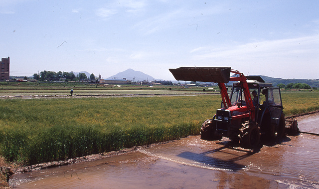 다운로드 불가 이미지