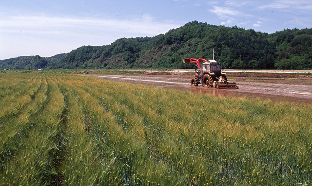 다운로드 불가 이미지