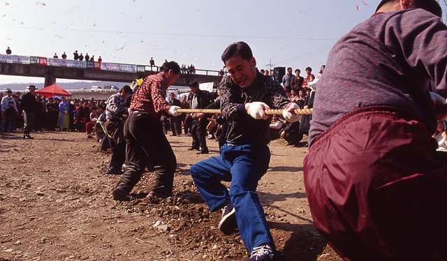 다운로드 불가 이미지