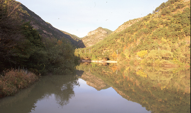 다운로드 불가 이미지