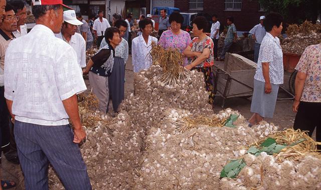 다운로드 불가 이미지