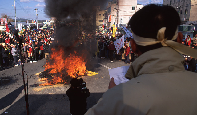 다운로드 불가 이미지