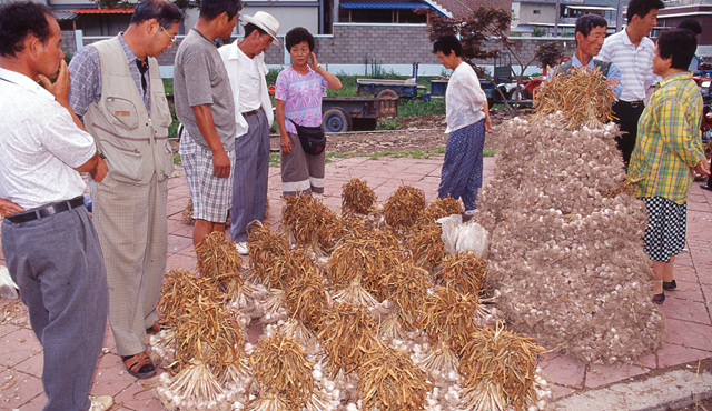다운로드 불가 이미지