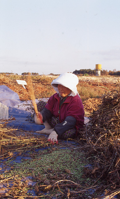 다운로드 불가 이미지