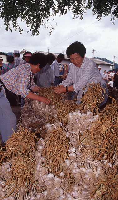다운로드 불가 이미지