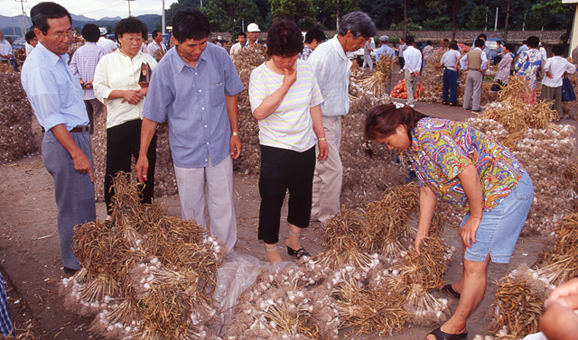 다운로드 불가 이미지