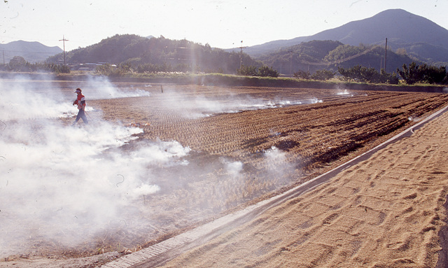다운로드 불가 이미지