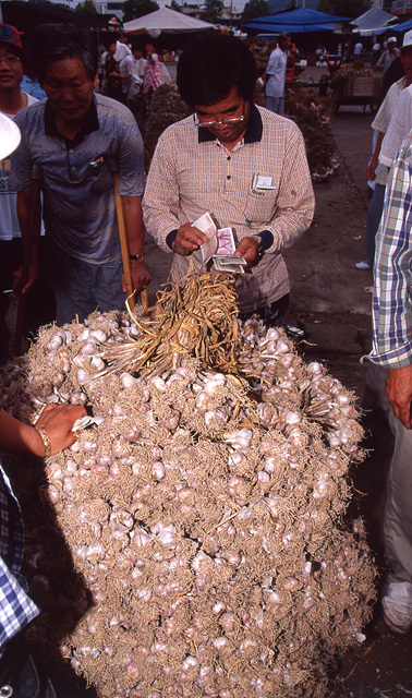 다운로드 불가 이미지