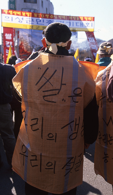 다운로드 불가 이미지