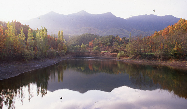 다운로드 불가 이미지